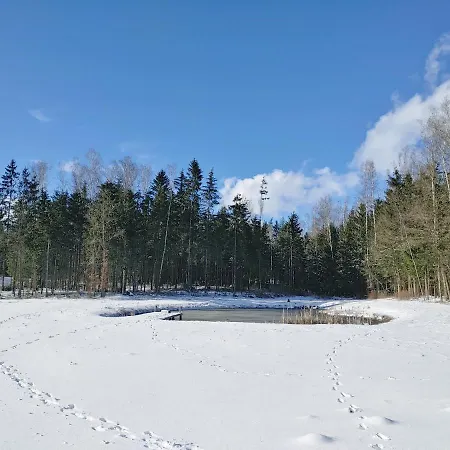 Holiday home Lesny Reset *