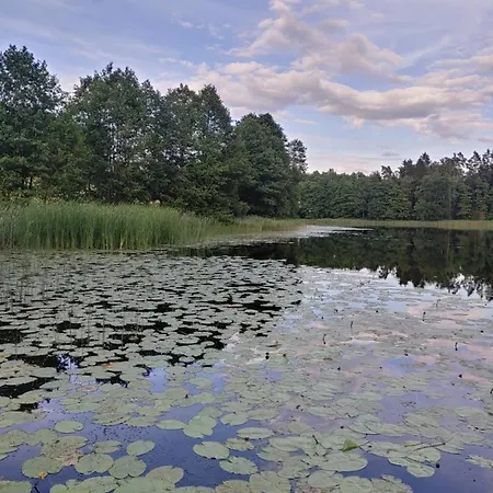 Lesny Reset Сasa de vacaciones Mrągowo