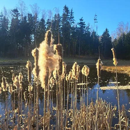 Lesny Reset * Mragowo