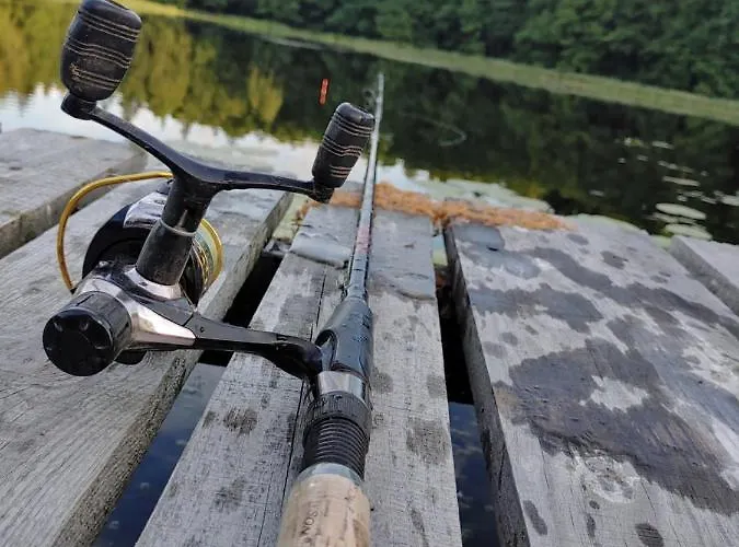 Lesny Reset 펜션 *