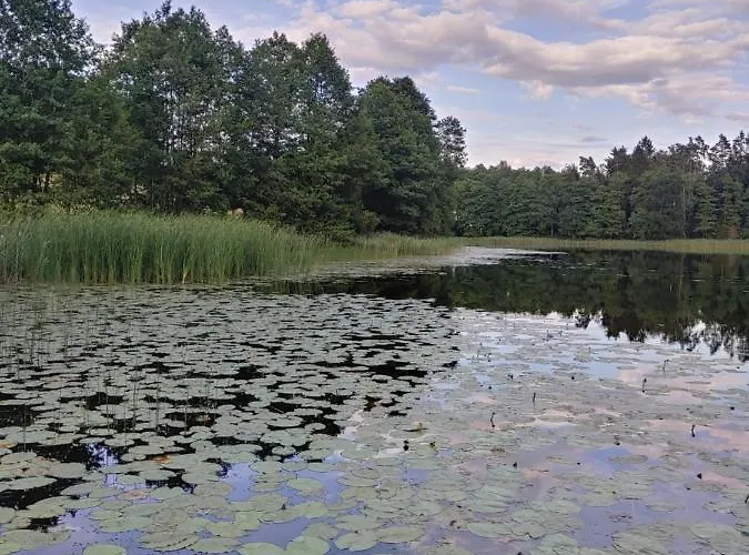 Lesny Reset 펜션 므랑고보