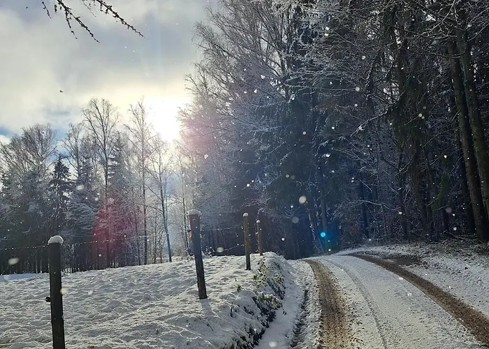 بيت للعطل Lesny Reset