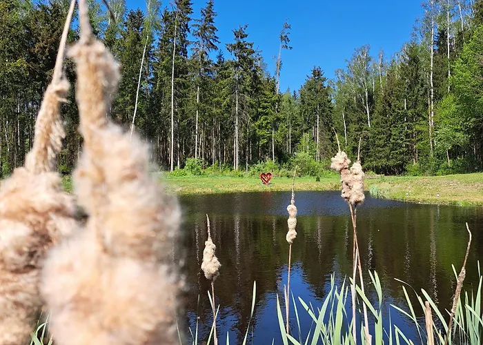 Lesny Reset * مارونجوفو